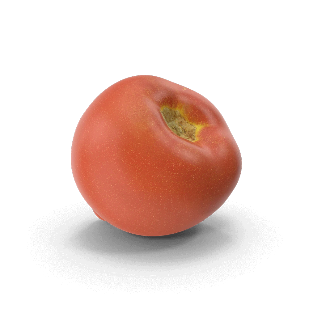 Tomato