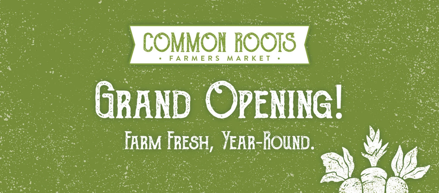 Grand Opening Banner